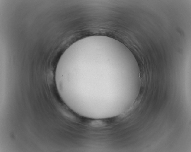 X0000114580183200910191102