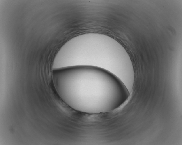 X0000114580186200910191102