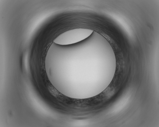 X0000114580189200910191102