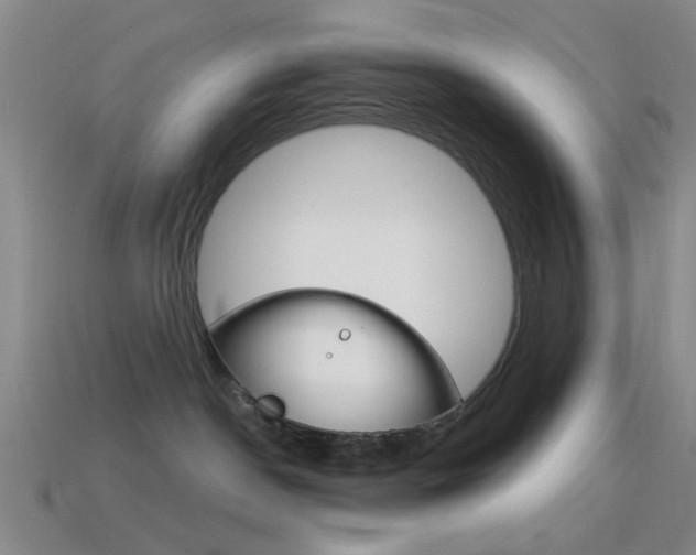 X0000114580190200910191102