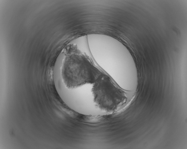 X0000114580191200910191102