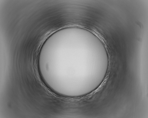 X0000114580193200910191102