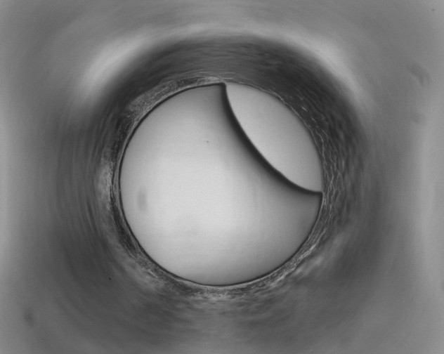 X0000114580194200910191102