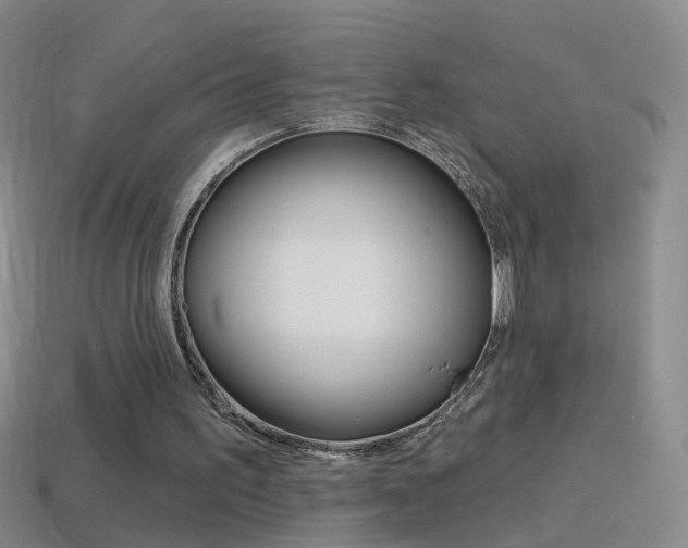 X0000114580195200910191102