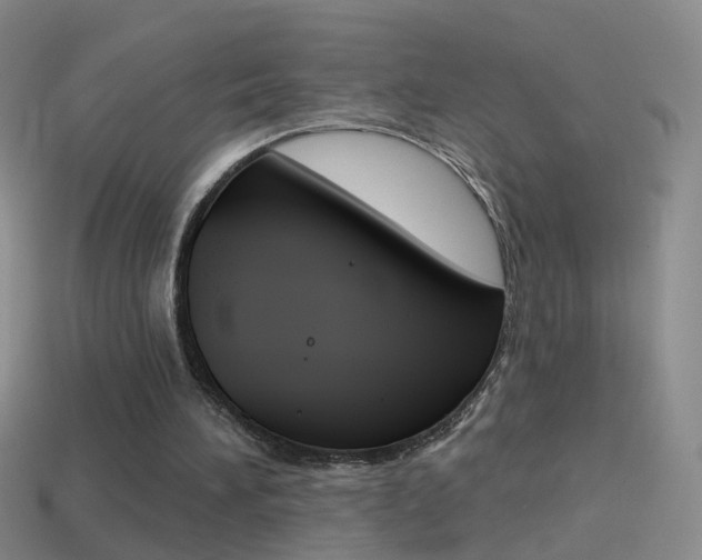 X0000114580196200910191102