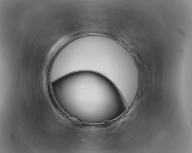 X0000114580197200910191102