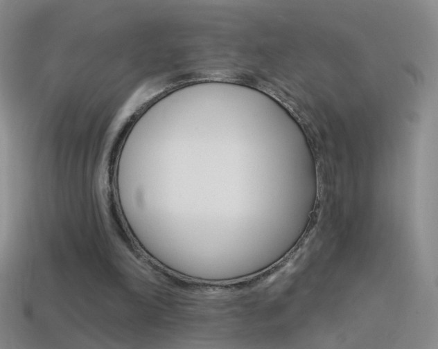 X0000114580198200910191102