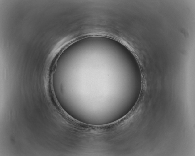 X0000114580199200910191102