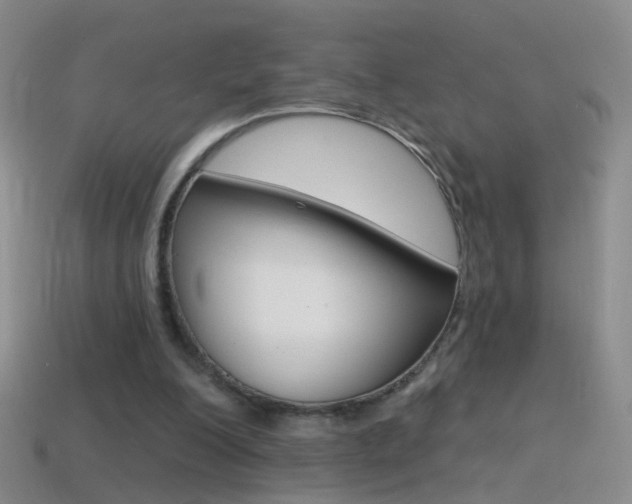 X0000114580200200910191102