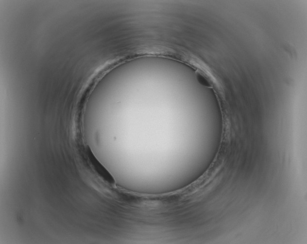 X0000114580203200910191102