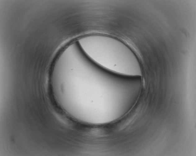 X0000114580204200910191102