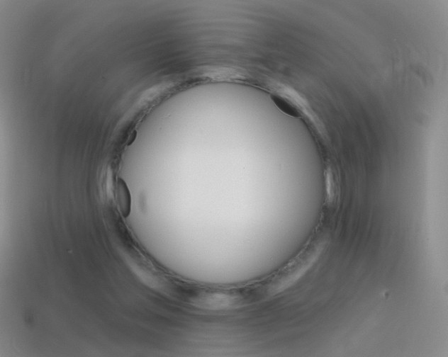 X0000114580205200910191102