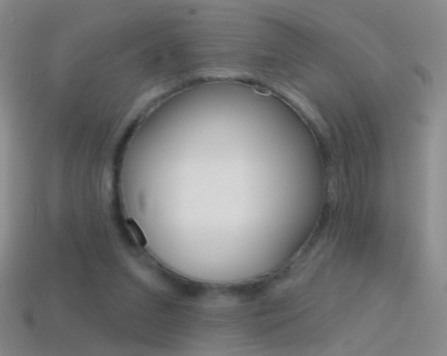 X0000114580207200910191101