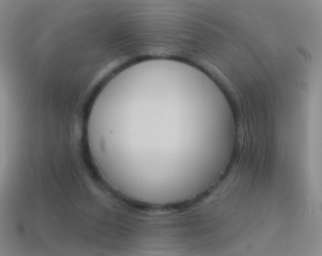 X0000114580208200910191101