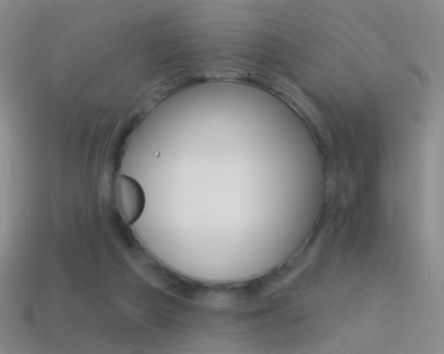 X0000114580209200910191101