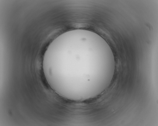 X0000114580210200910191101