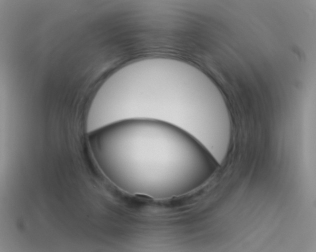 X0000114580211200910191101