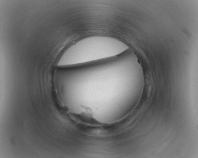 X0000114580212200910191101