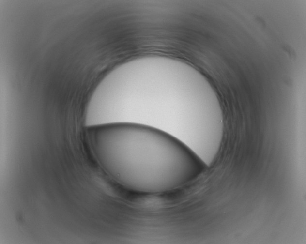 X0000114580219200910191101