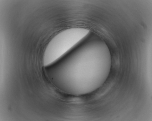 X0000114580224200910191101