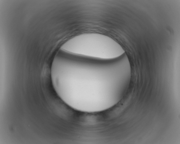 X0000114580228200910191101