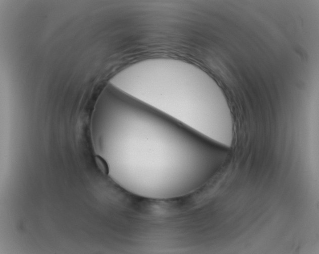 X0000114580229200910191101