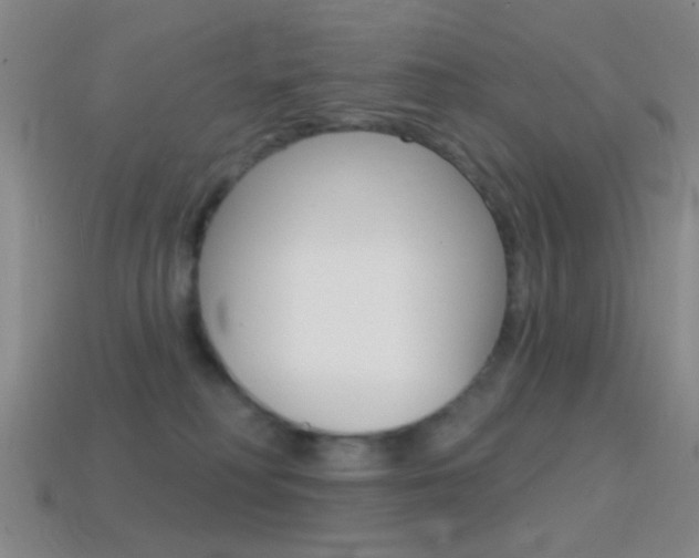 X0000114580230200910191101