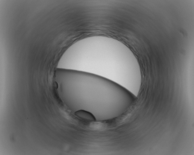 X0000114580231200910191101