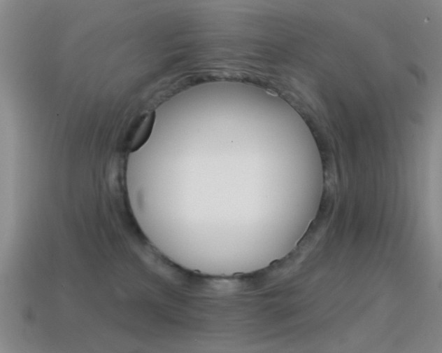 X0000114580233200910191101