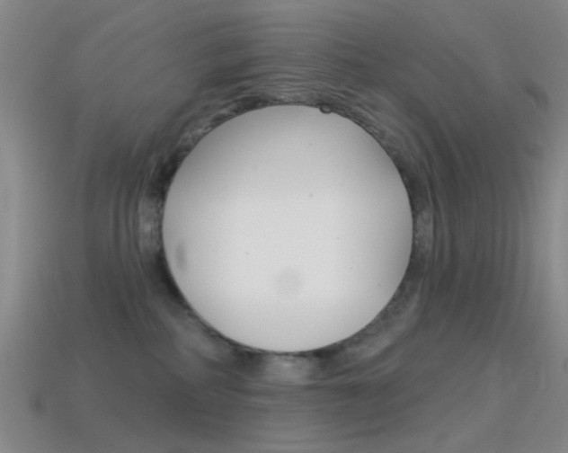 X0000114580234200910191101