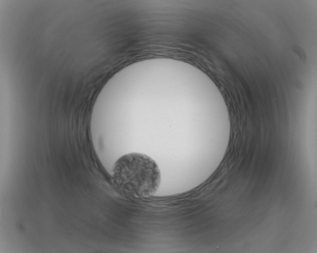 X0000114580235200910191101