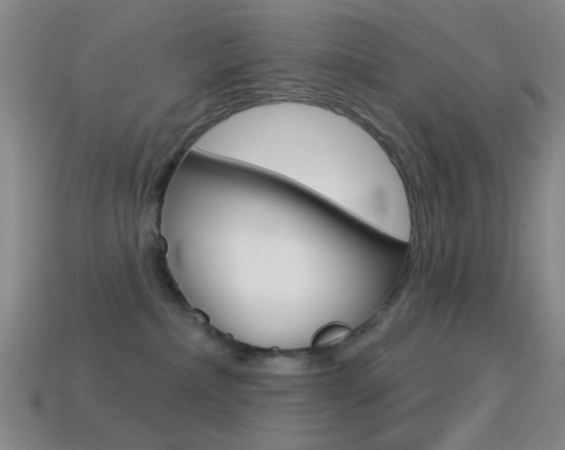 X0000114580236200910191101