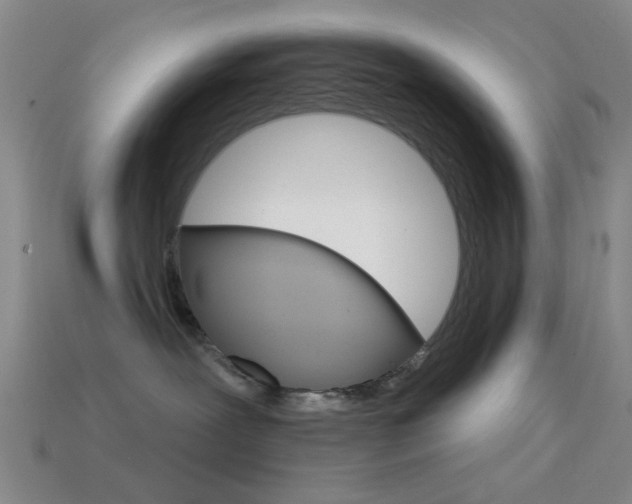 X0000114580239200910191101