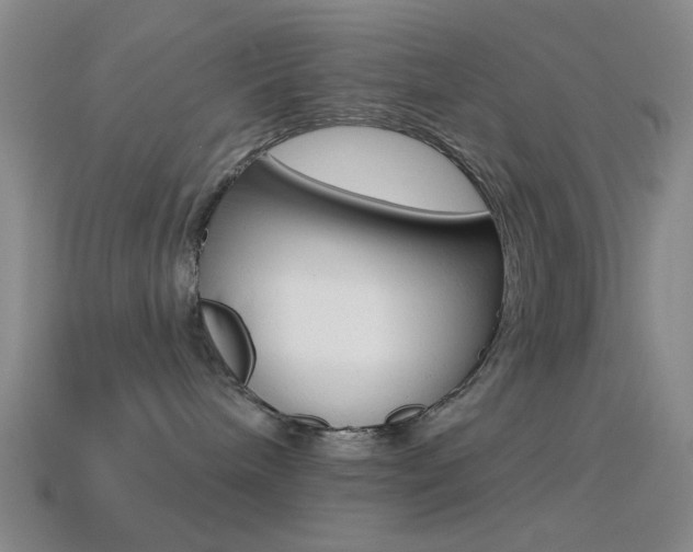 X0000114580240200910191101