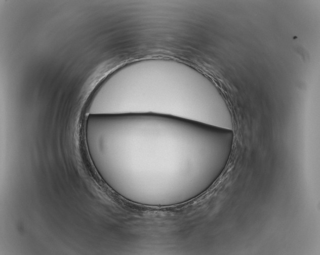 X0000114580242200910191100