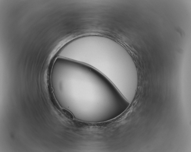 X0000114580244200910191100