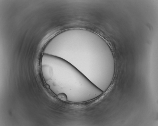 X0000114580245200910191100