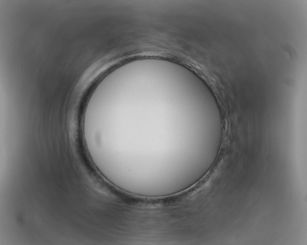 X0000114580247200910191100