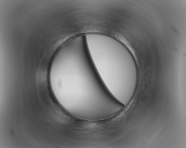 X0000114580249200910191100