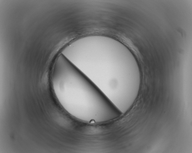 X0000114580250200910191100