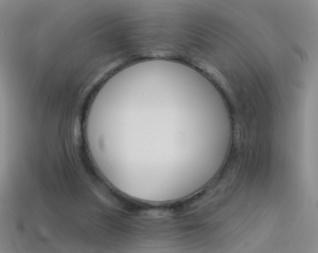 X0000114580251200910191100