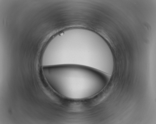 X0000114580252200910191100