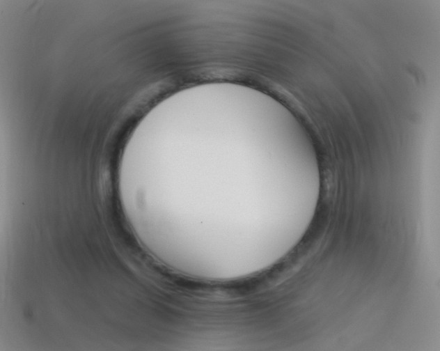 X0000114580254200910191100