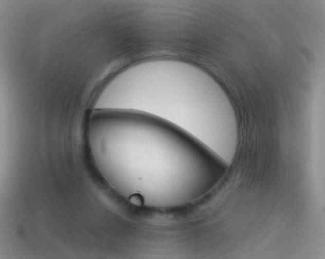 X0000114580256200910191101