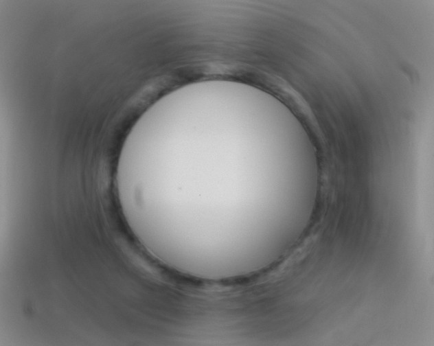 X0000114580257200910191101