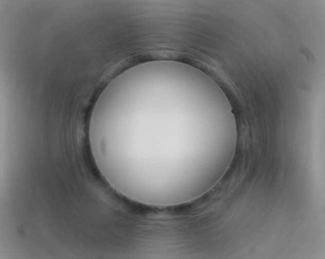 X0000114580259200910191101