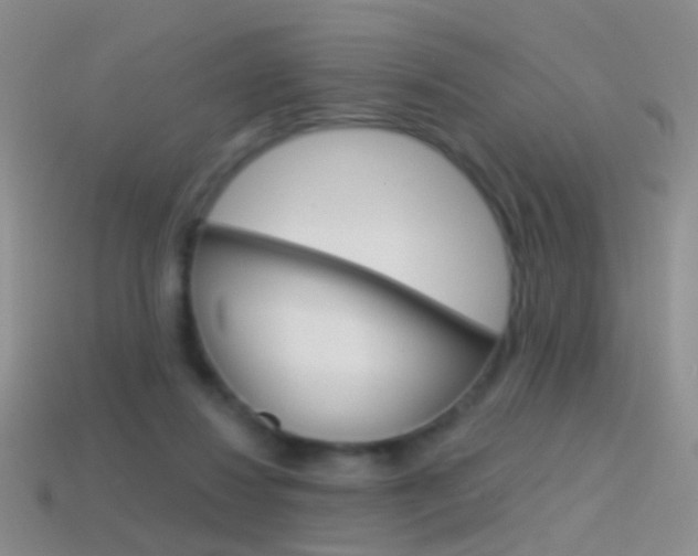 X0000114580260200910191101