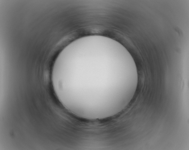 X0000114580262200910191101