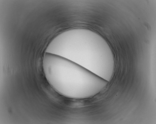 X0000114580263200910191101