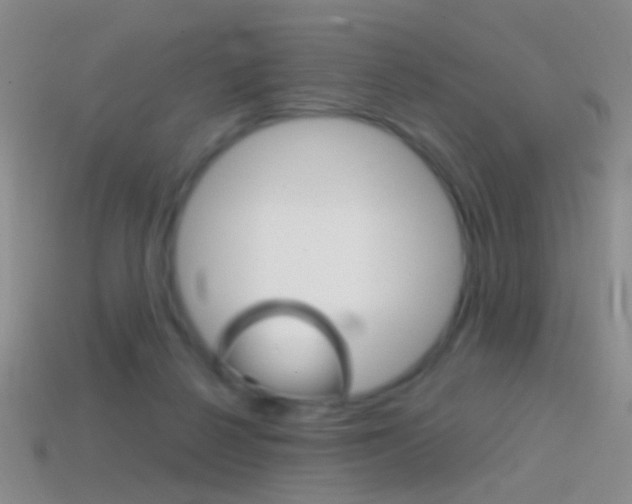 X0000114580264200910191101